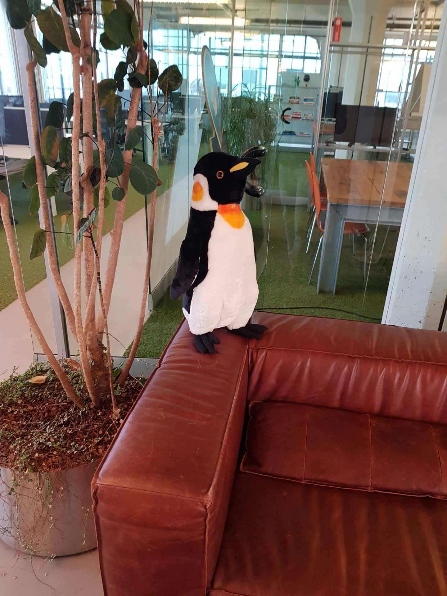 penguin at work