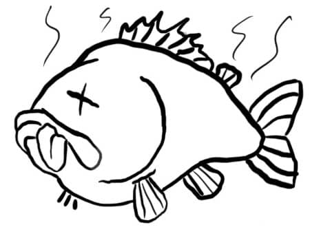 stinky fish